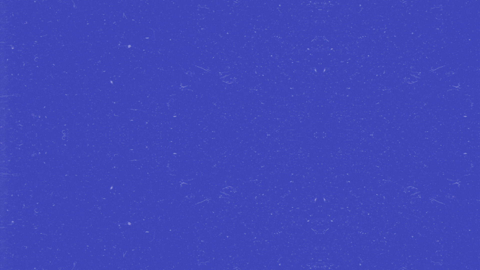 Équipements numériques